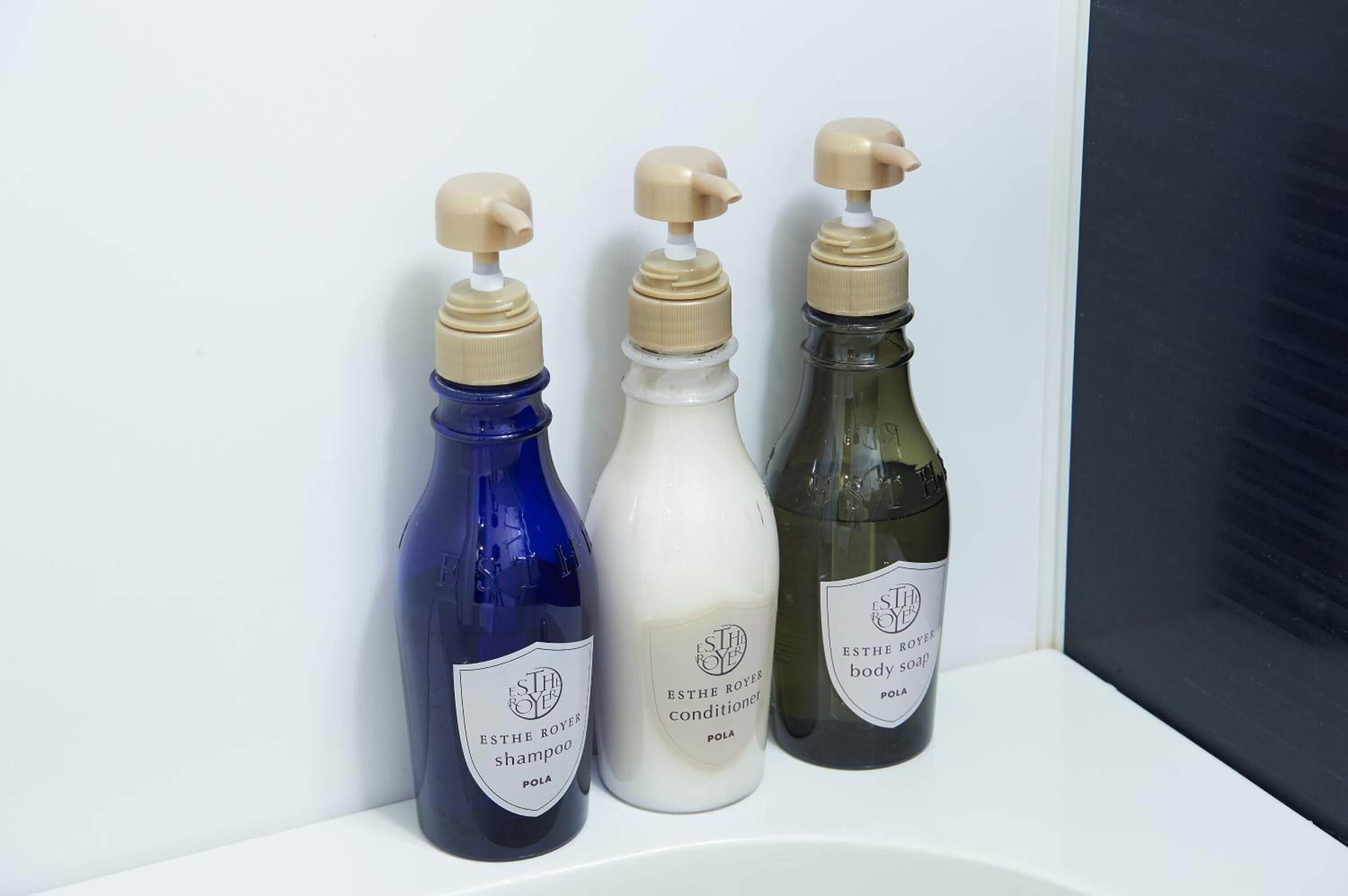 combined shower/bathtub, hair dryer, slippers, bidet