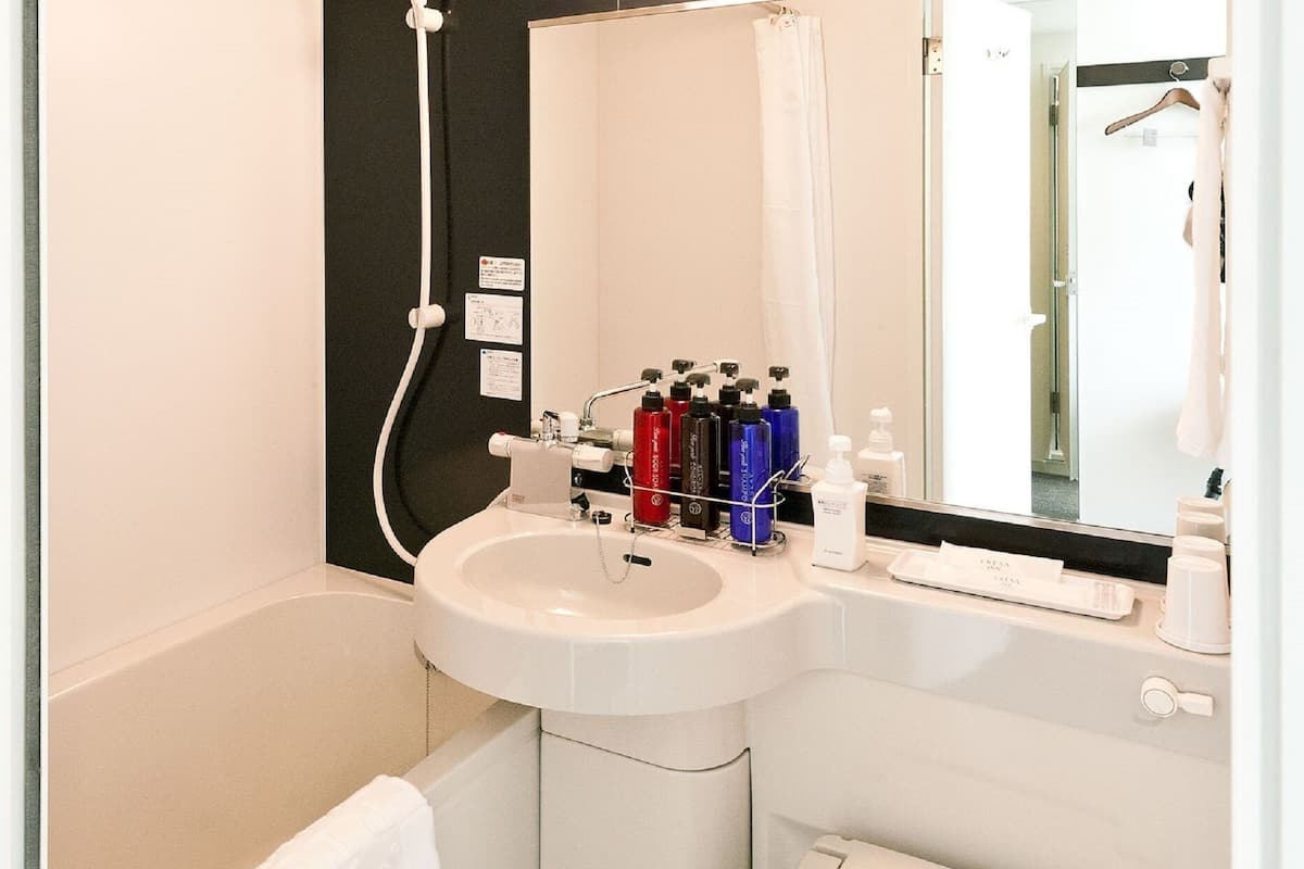 combined shower/bathtub, hair dryer, slippers, bidet