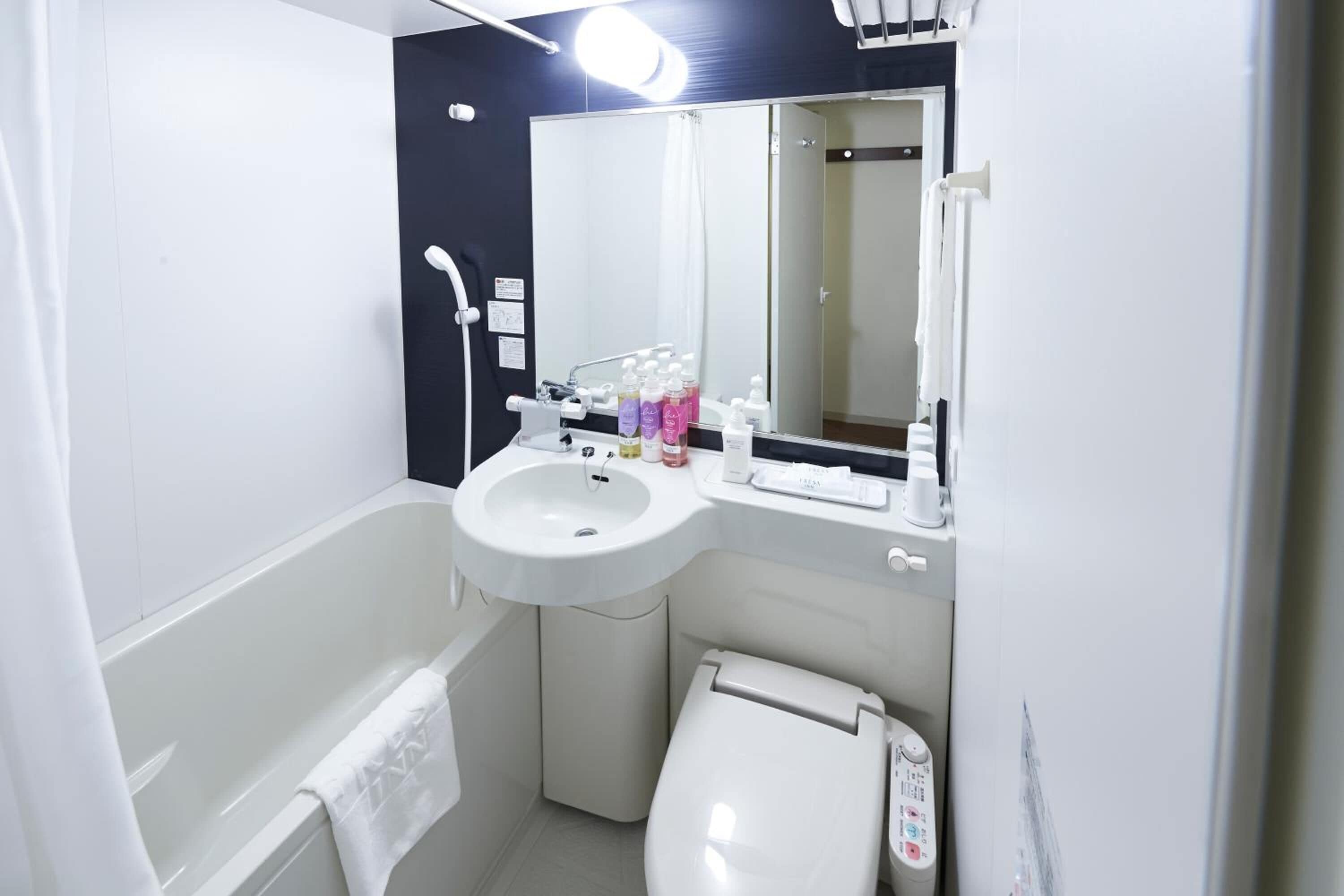 combined shower/bathtub, hair dryer, slippers, bidet