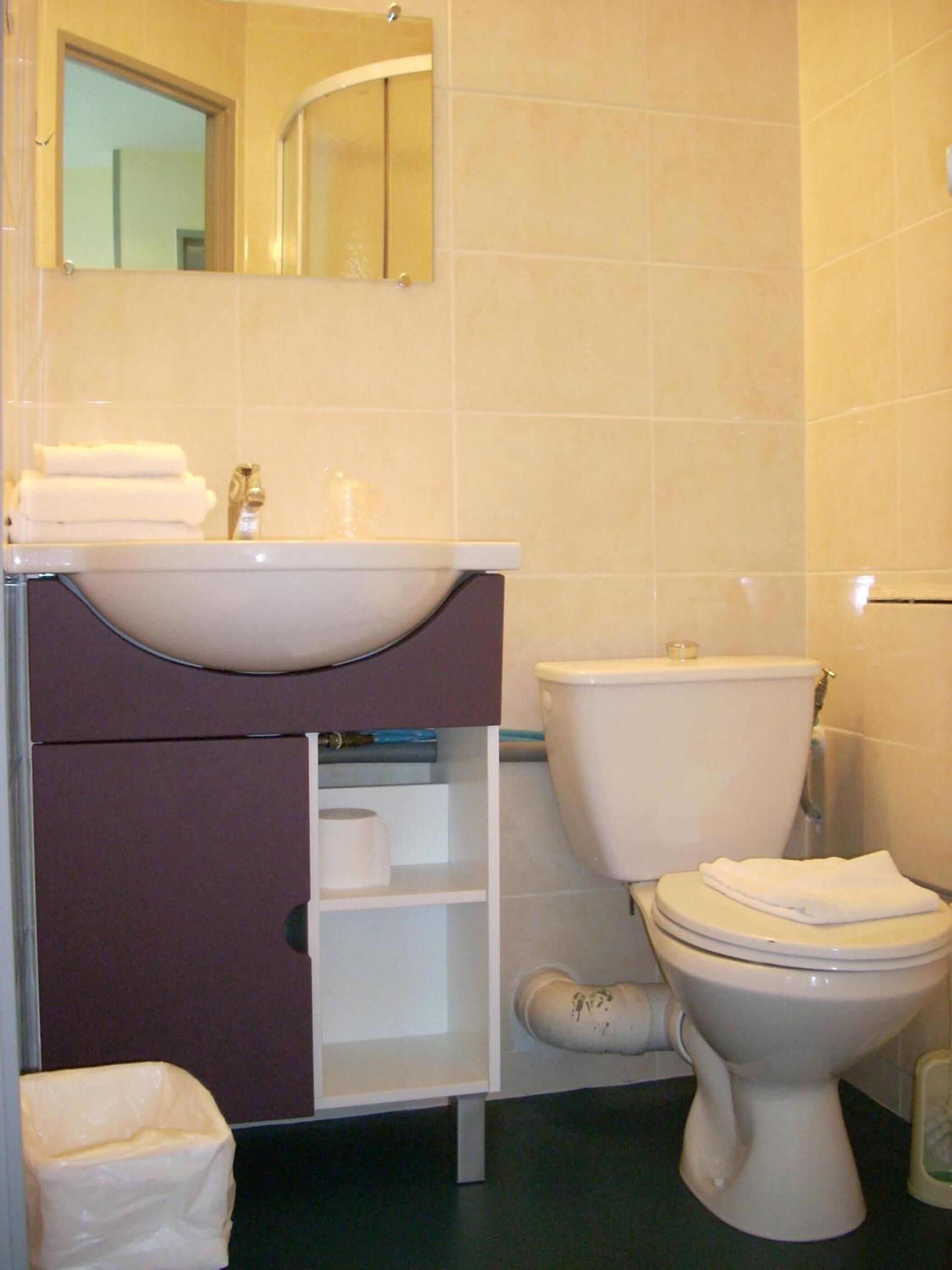 A bathroom with a white sink, mirror, and toilet. There is a towel rack above the sink and a trash bin next to the toilet.