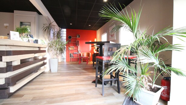 Un intérieur moderne avec un plancher en bois, un mur d’accent rouge et de nombreuses plantes en pot.