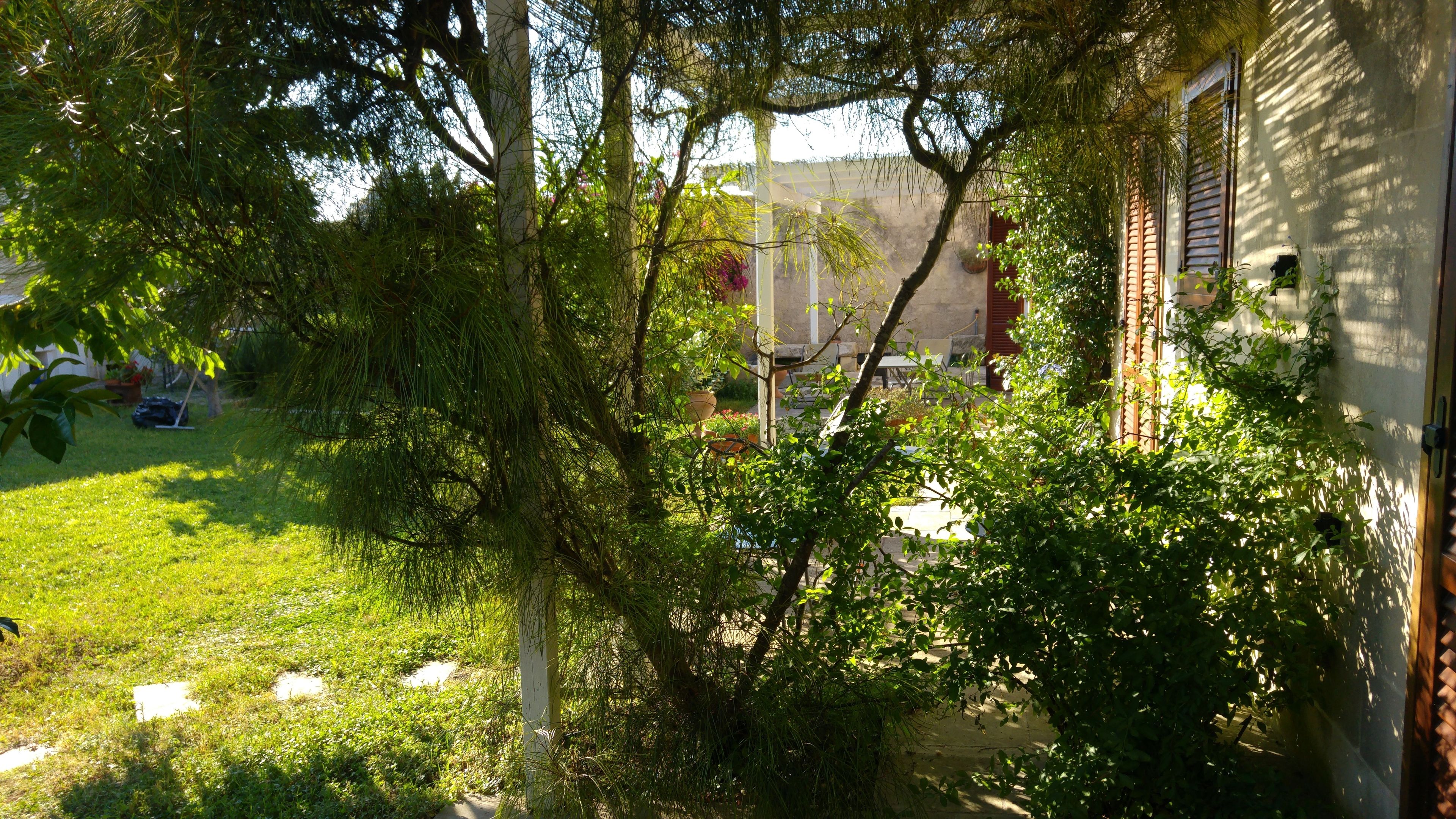 Ein Garten mit Rasen, Bäumen und einem Gebäude mit einem Fenster.
