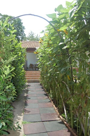 Área da propriedade