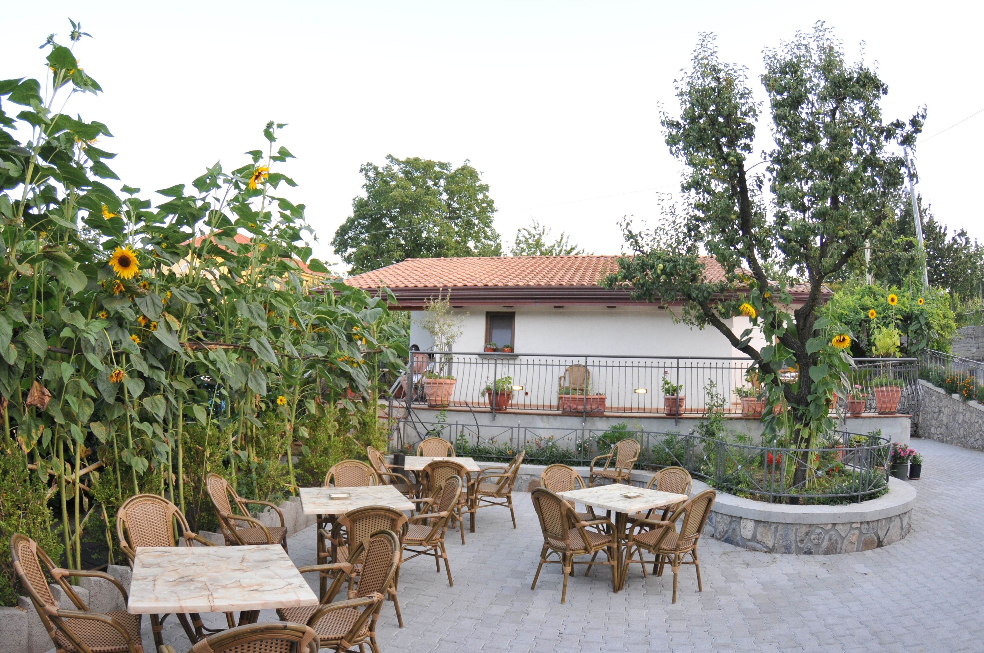 Lunch och middag serveras, njut av de goda smakerna från lokala rätter.