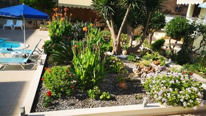 Un jardín en la azotea con piscina, sillones de descanso y diversas plantas y flores.