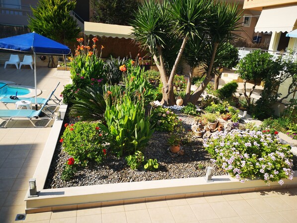 A rooftop garden with a swimming pool, lounge chairs, and various plants and flowers.