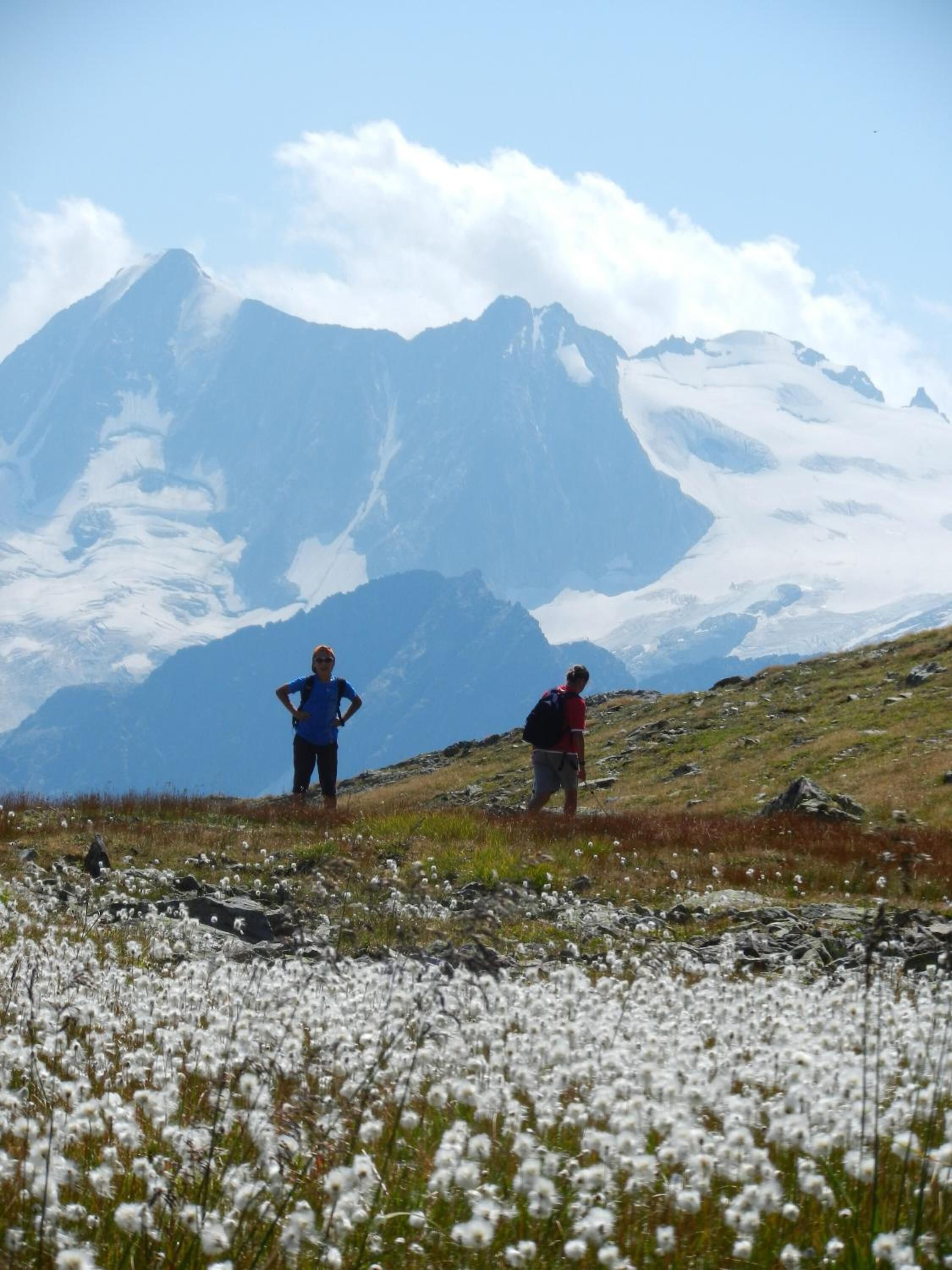 Deux personnes se tiennent debout sur une colline herbeuse, avec une montagne en arrière-plan.
