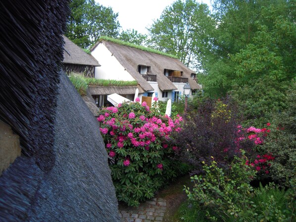 A traditional building with a thatched roof, surrounded by lush greenery and flowering plants.