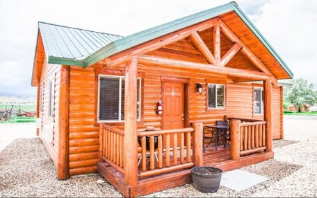 A wooden cabin with a porch, a door, and windows.