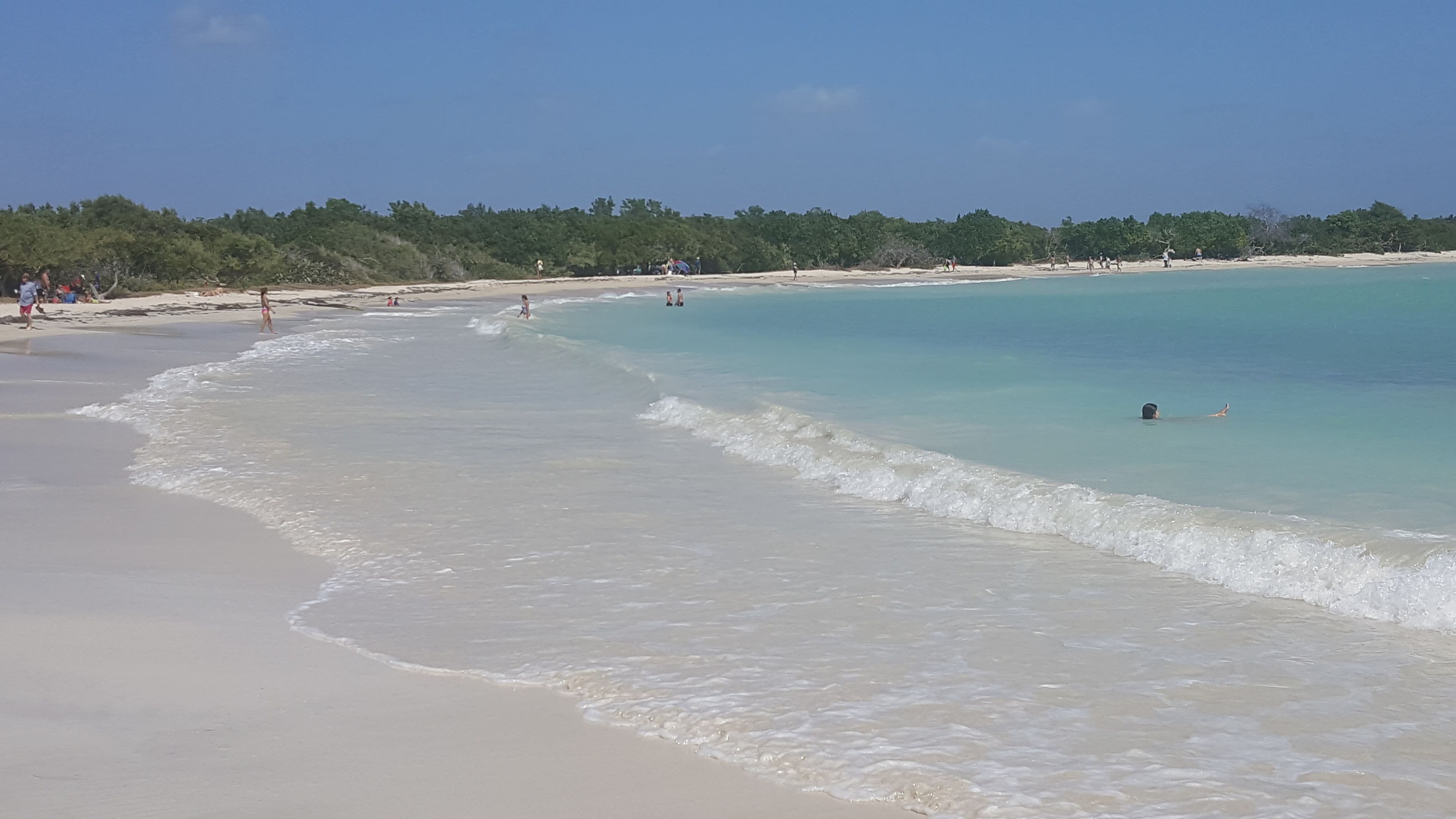 Ein Strand mit klarem türkisblauem Wasser, sandigem Ufer und üppiger Vegetation im Hintergrund.
