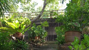 A set of concrete steps leading up to a wooden deck surrounded by lush greenery and potted plants. - Chaweng Park Place (Koh Samui)
