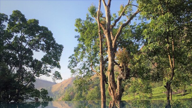 A serene landscape with a clear lake reflecting trees and hills. - Windermere Estate (Devikolam)
