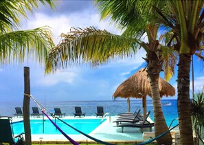 Outdoor pool, sun loungers