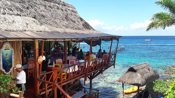 A beachside restaurant with outdoor seating overlooking the ocean, a thatched roof, and a view of the sea.