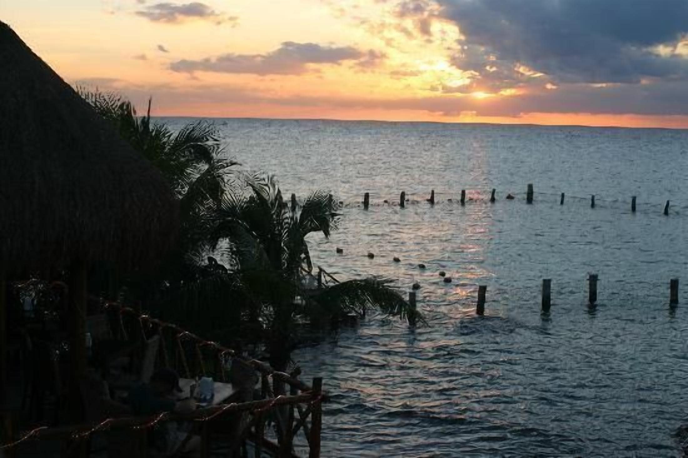 A beach scene with a thatched-roof structure, palm trees, and a wooden fence in the water.