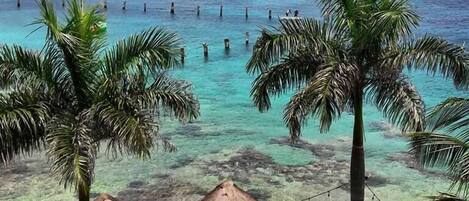 Vista de una playa con agua turquesa cristalina, palmeras y cabañas de techo de paja.