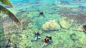 A clear view of the ocean with three snorkelers and a boat in the distance.