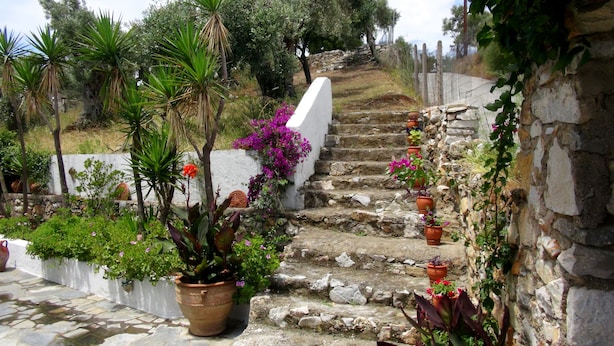 A stone staircase leading up a hill, surrounded by potted plants and flowers. - Camelia Studios (Skiathos)