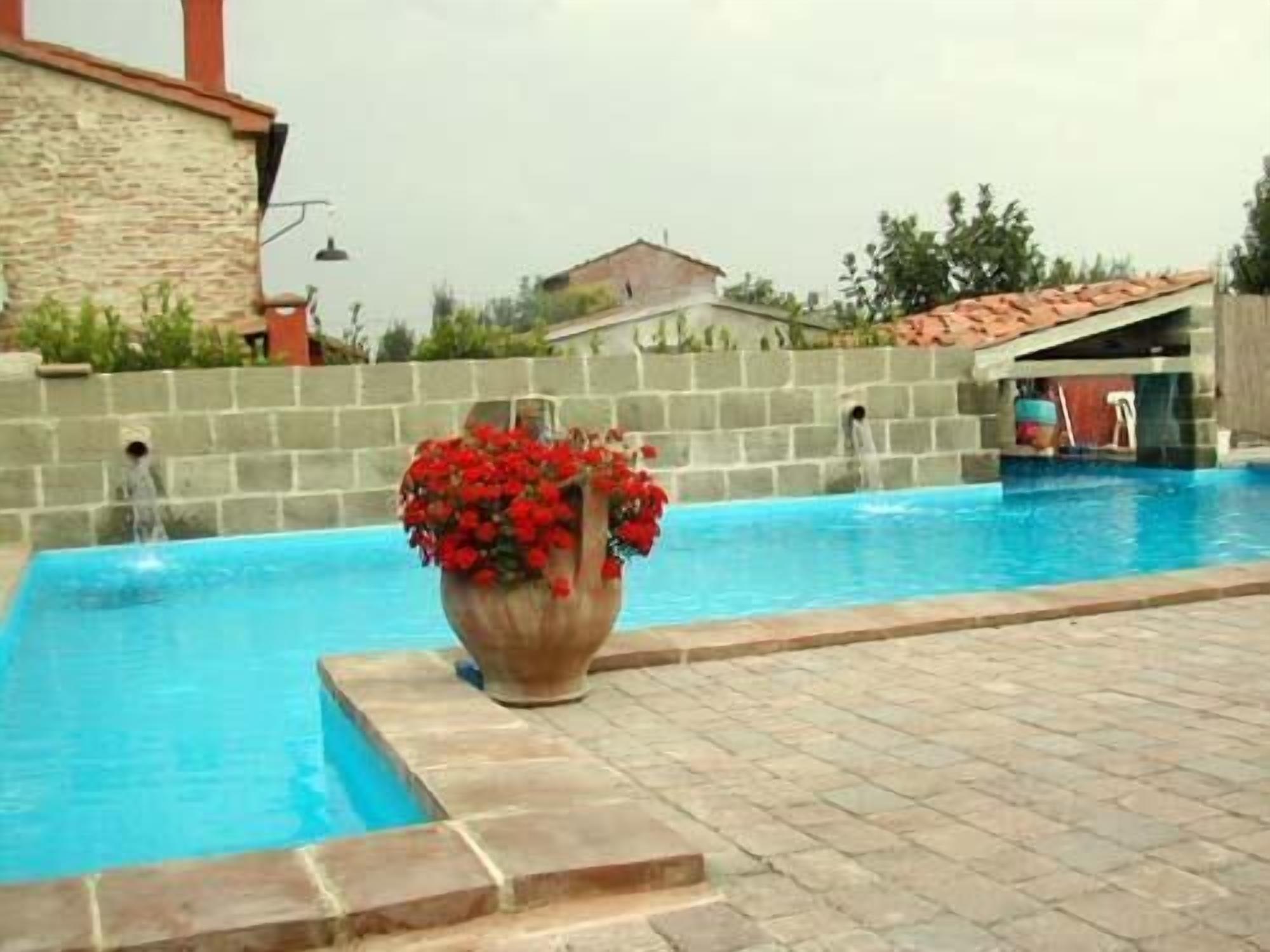 A swimming pool with a stone wall and a large flower pot with red flowers.