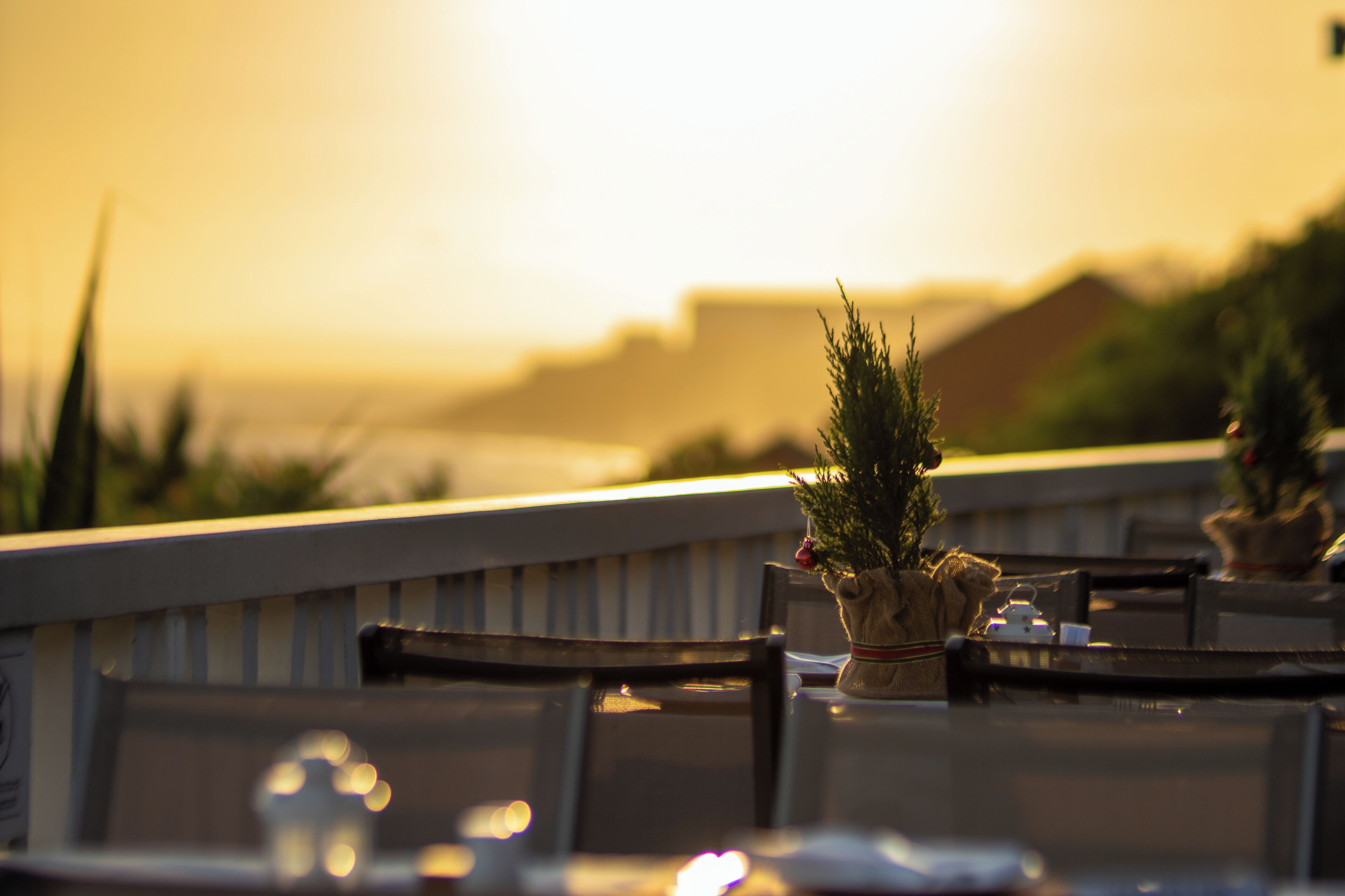 Terraza de restaurante con vista al atardecer, mesas al aire libre y un pequeño árbol de Navidad.