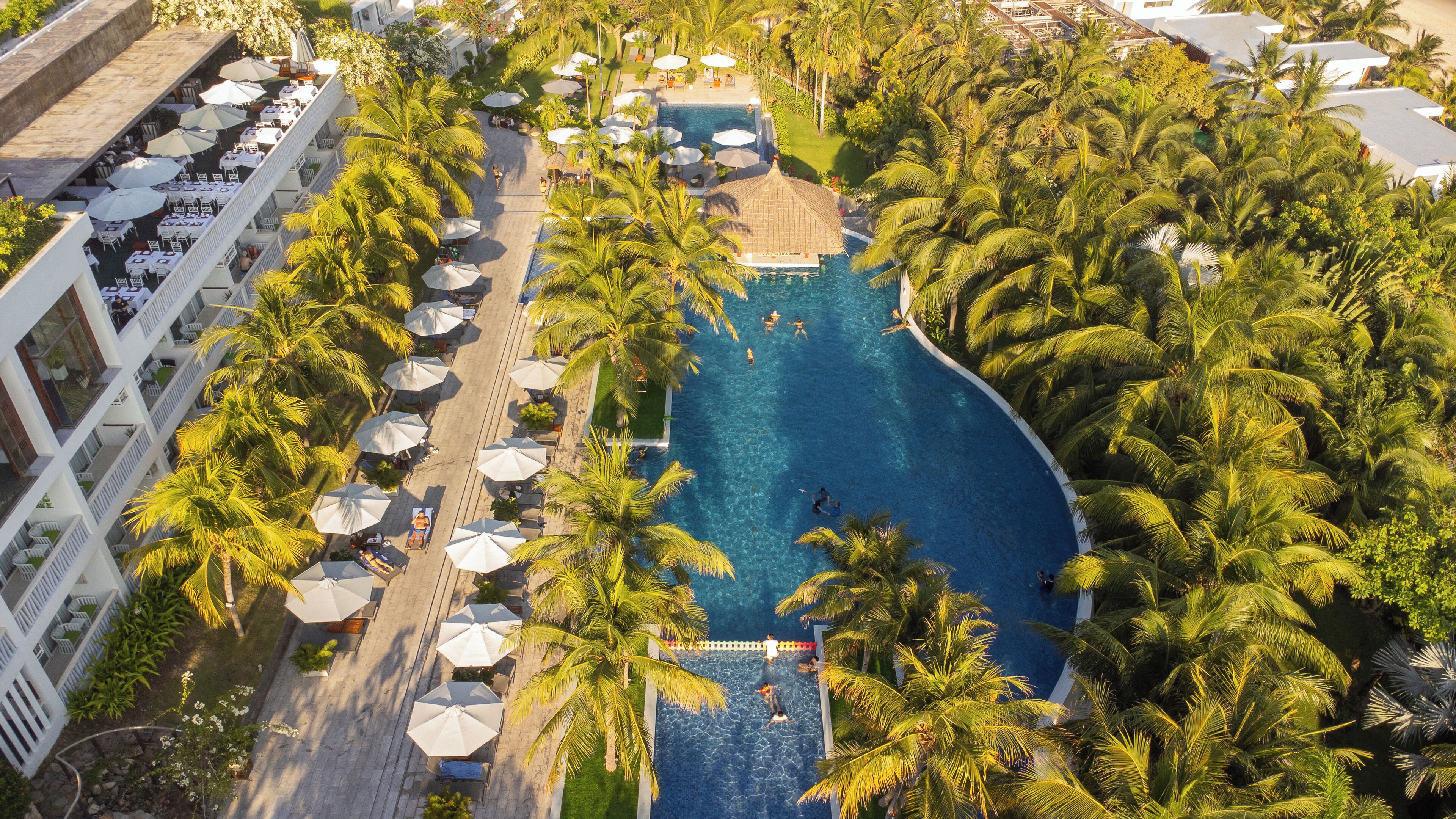 Vista aérea de un complejo turístico con piscina rodeada de palmeras, mobiliario exterior y un bar junto a la piscina.