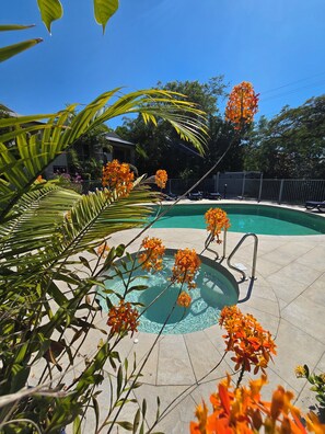 Une piscine entourée de palmiers et de fleurs d’oranger, avec un ciel bleu azur en arrière-plan.