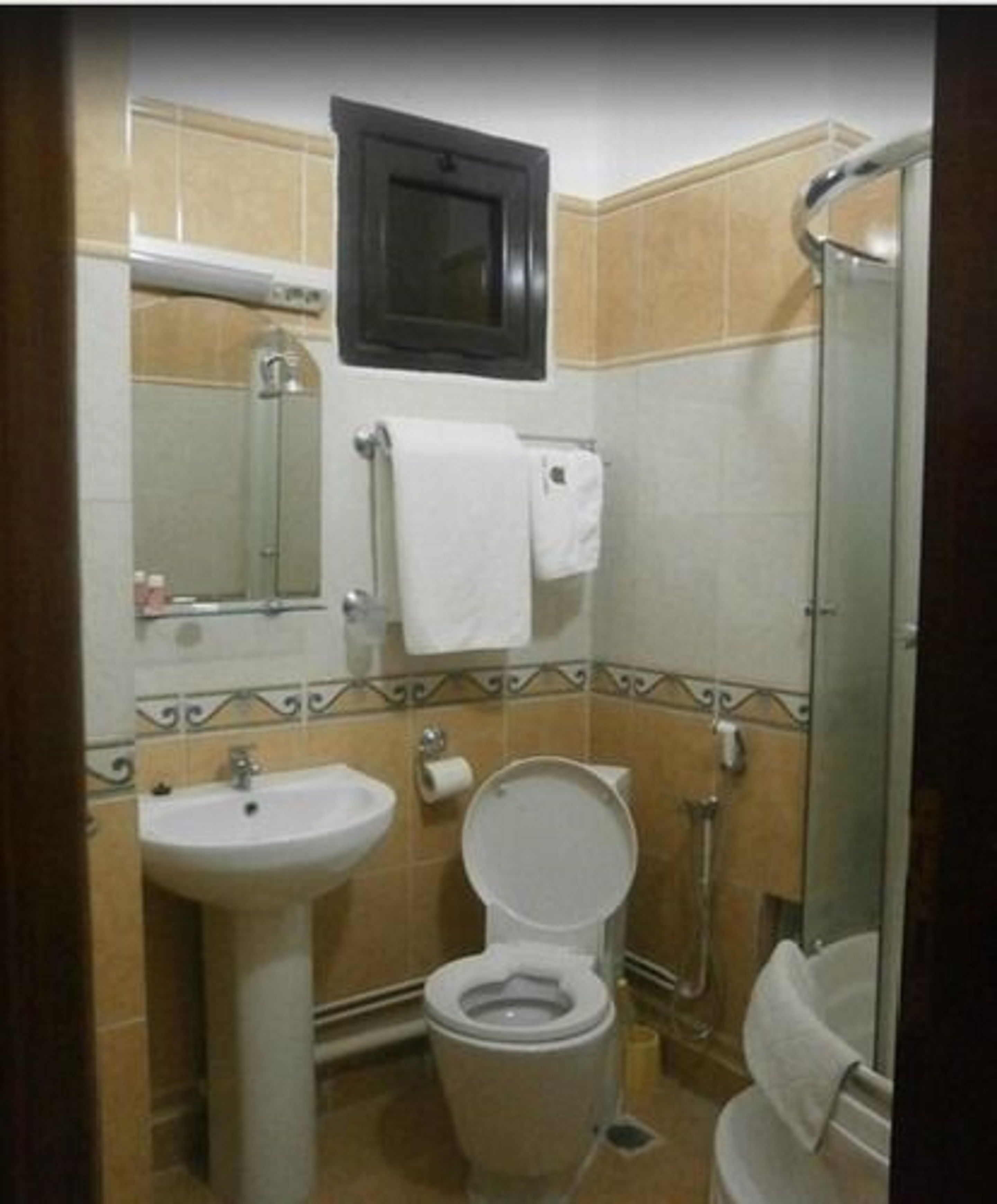 A small bathroom with a sink, toilet, and shower.
