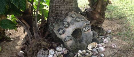A tree trunk with decorative shells and stones around it.