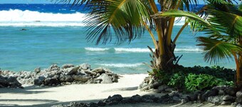 Tropical Sands