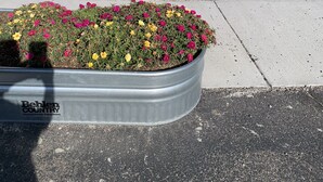 A parking lot with a blue SUV, a small bush, and a flower bed with pink and yellow flowers. - Country Manor Motel Watkins (Watkins)