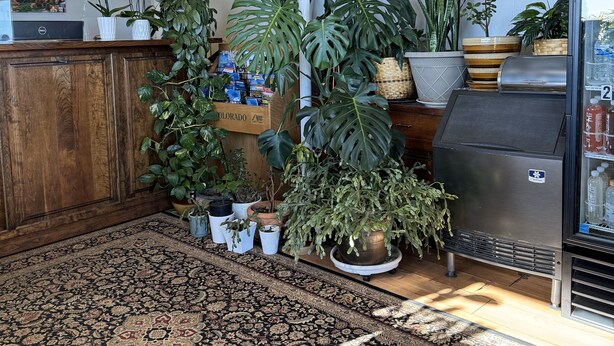 A room with a patterned carpet, wooden cabinets, and various potted plants. - Country Manor Motel Watkins (Watkins)