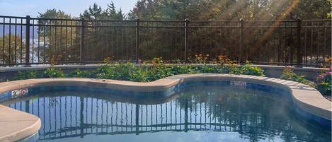 Una piscina con borde curvo, rodeada por una valla metálica y una diversidad de plantas y flores.