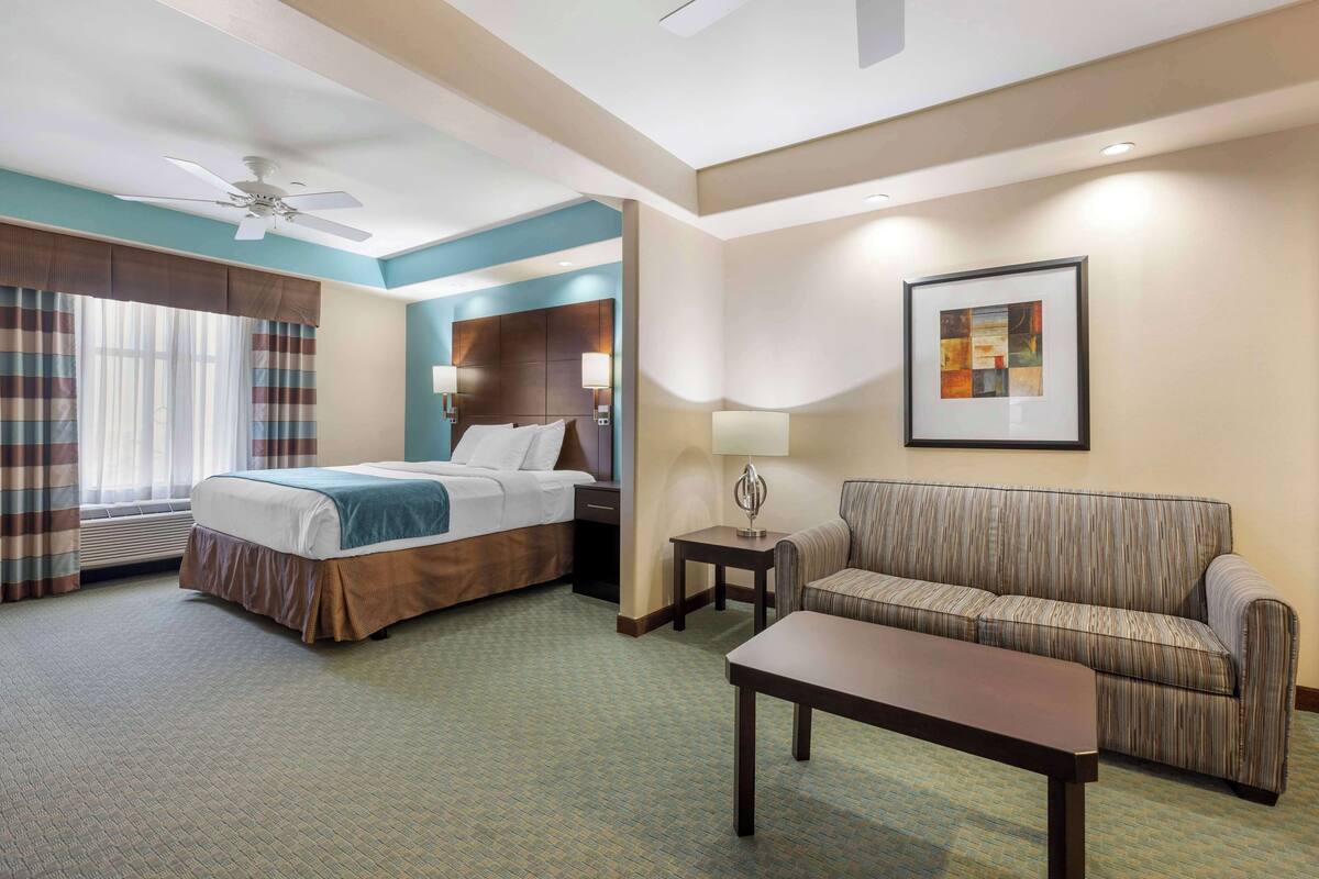 Una habitación de hotel con cama, sofá, mesa de centro, escritorio, lámpara, ventilador de techo y un cuadro en la pared.