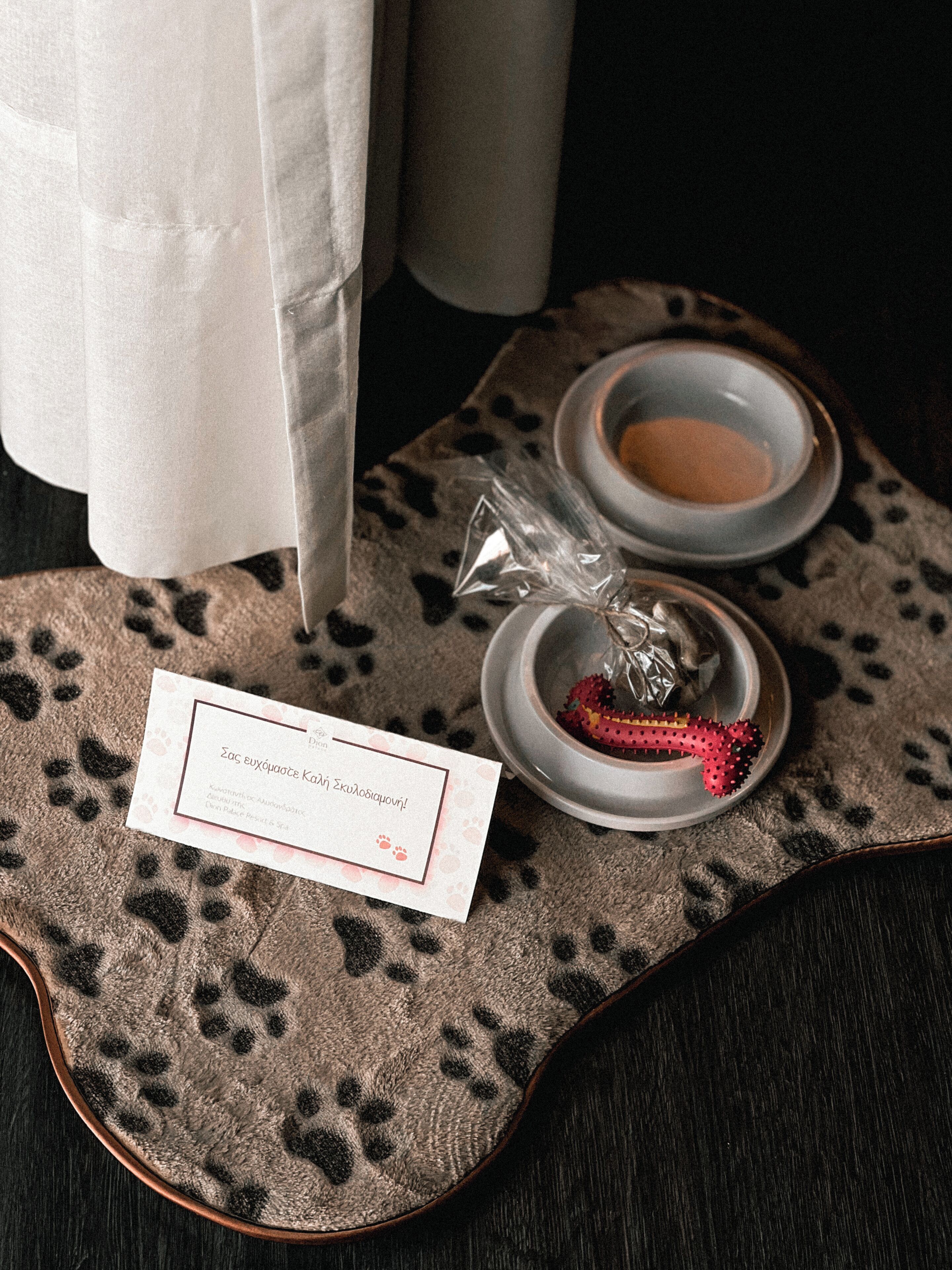 A pet-friendly room with a paw print rug, a small pet bed, and a bowl of pet food.