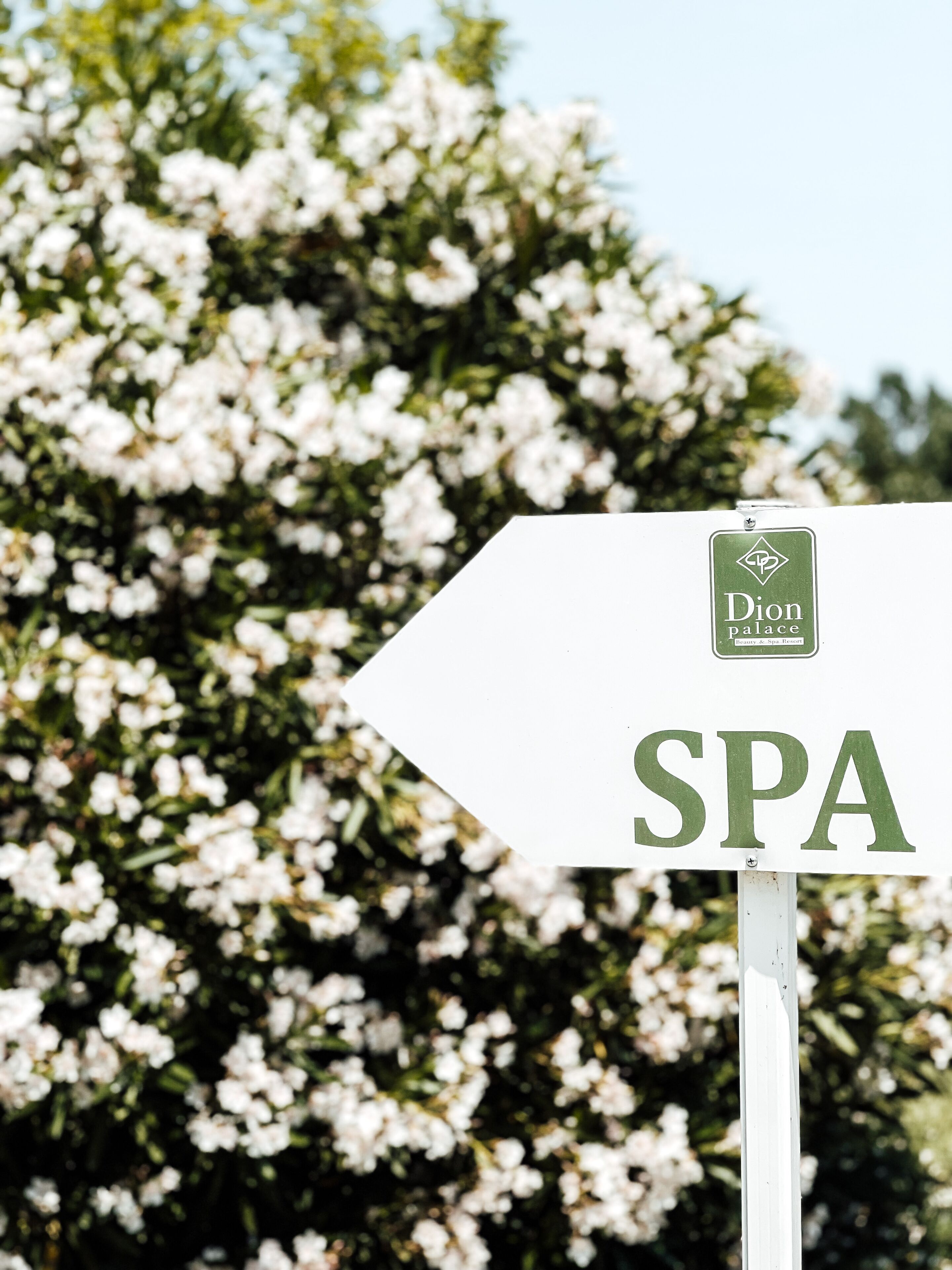 sauna, steam room, body treatments, hydrotherapy, aromatherapy