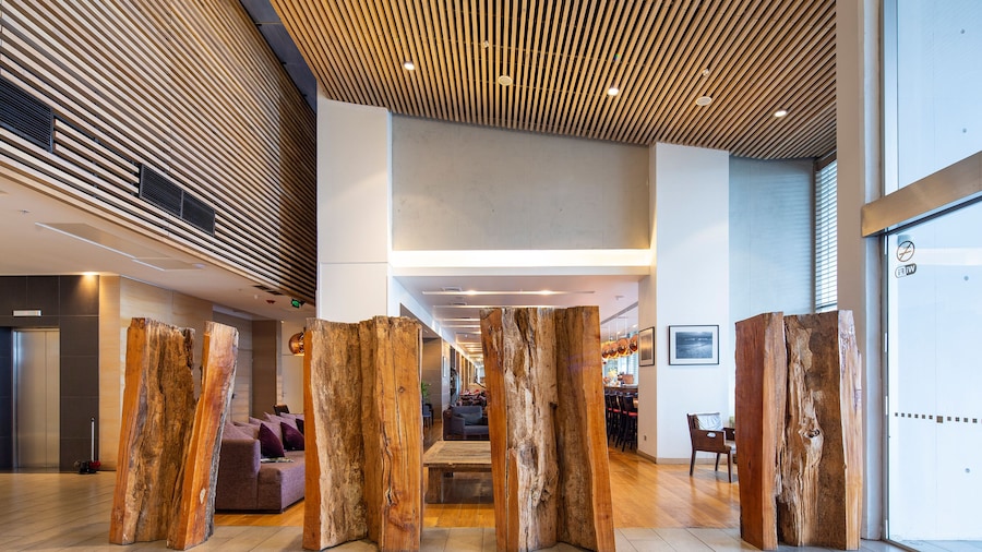 Wyndham Concepcion Pettra