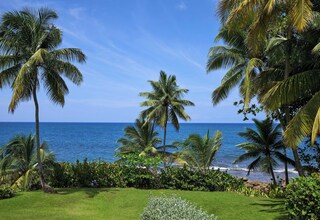 A tropical landscape with palm trees and a view of the ocean.