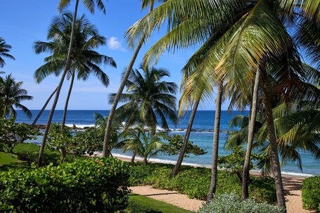 Dorado Beach, a Ritz Carlton Reserve - Image 12