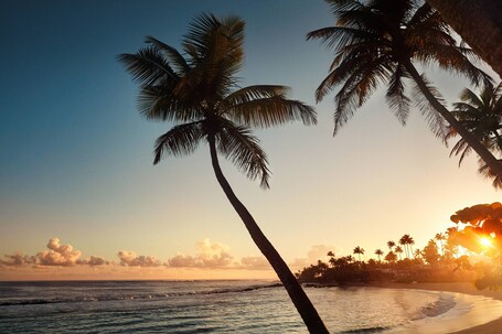 Dorado Beach, a Ritz Carlton Reserve - Image 104