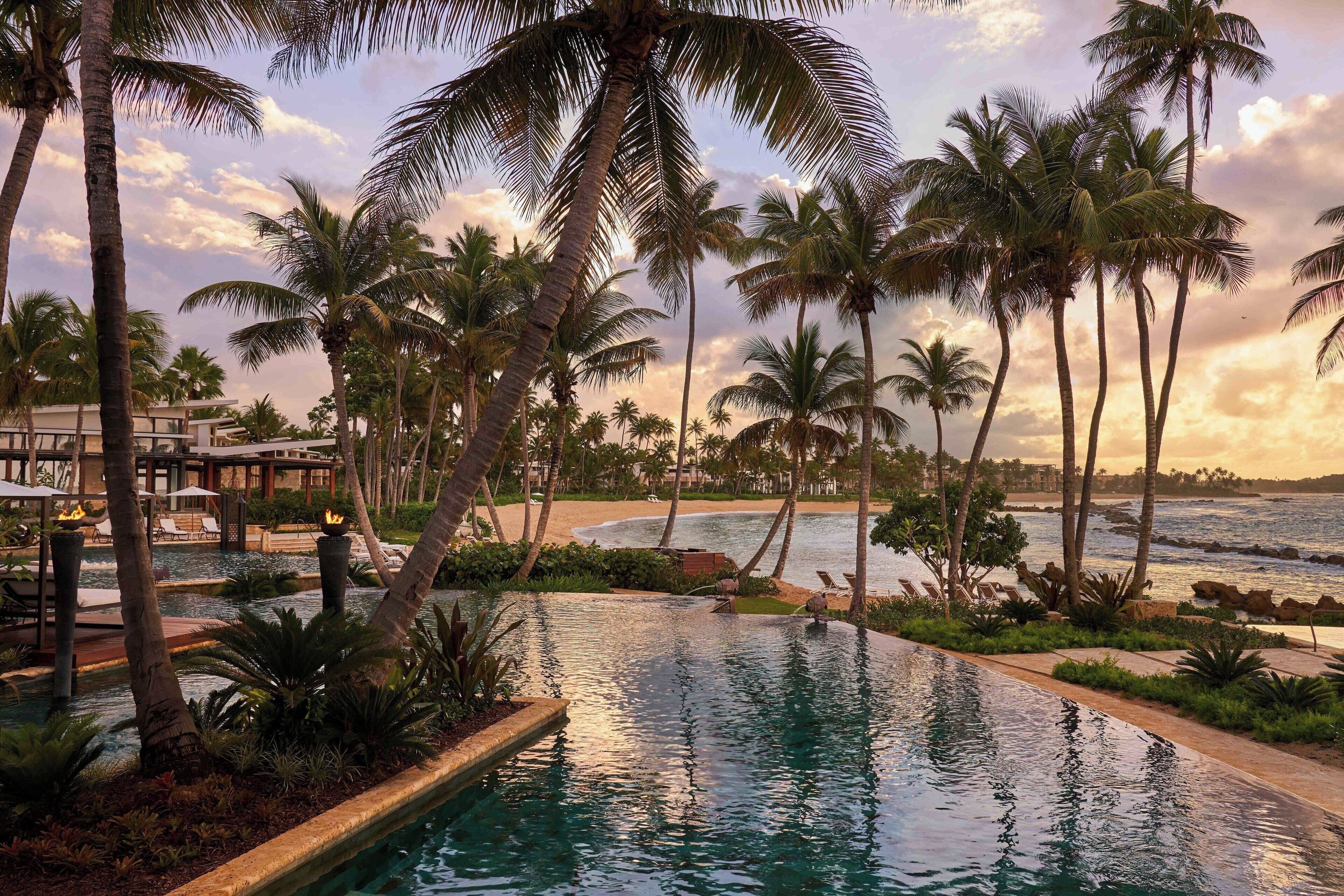Zona de piscina con palmeras, vista al mar y sillas de descanso.