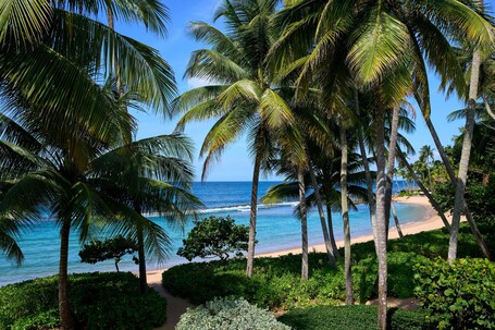Dorado Beach, a Ritz Carlton Reserve - Image 78