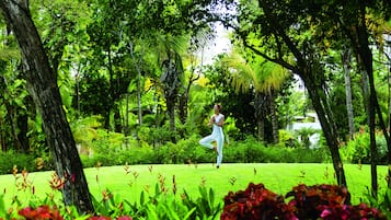 Escape to a serene oasis surrounded by lush greenery and tranquil trees.