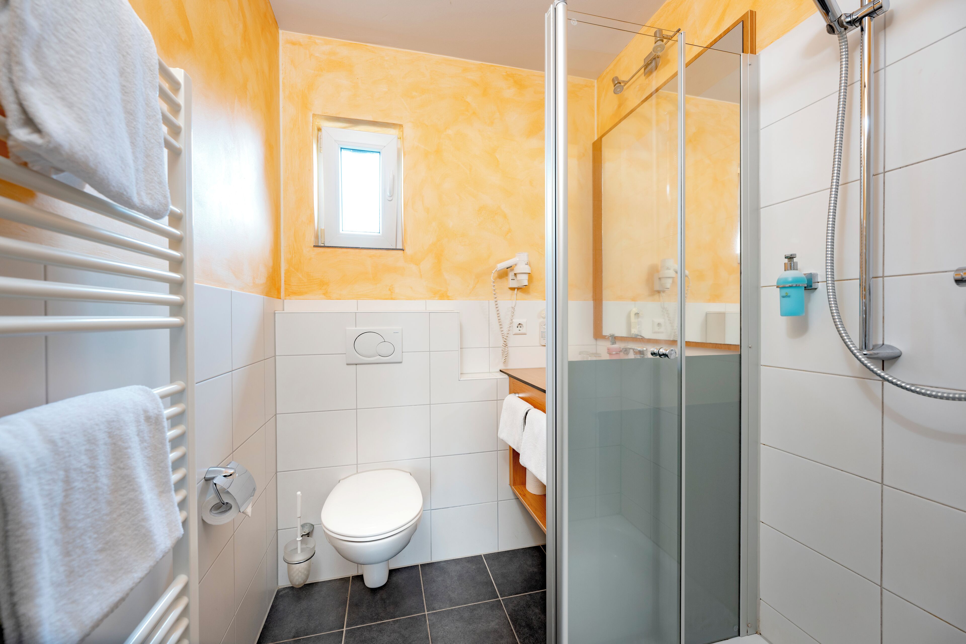 A bathroom with a glass-enclosed shower, a toilet, and a towel rack.