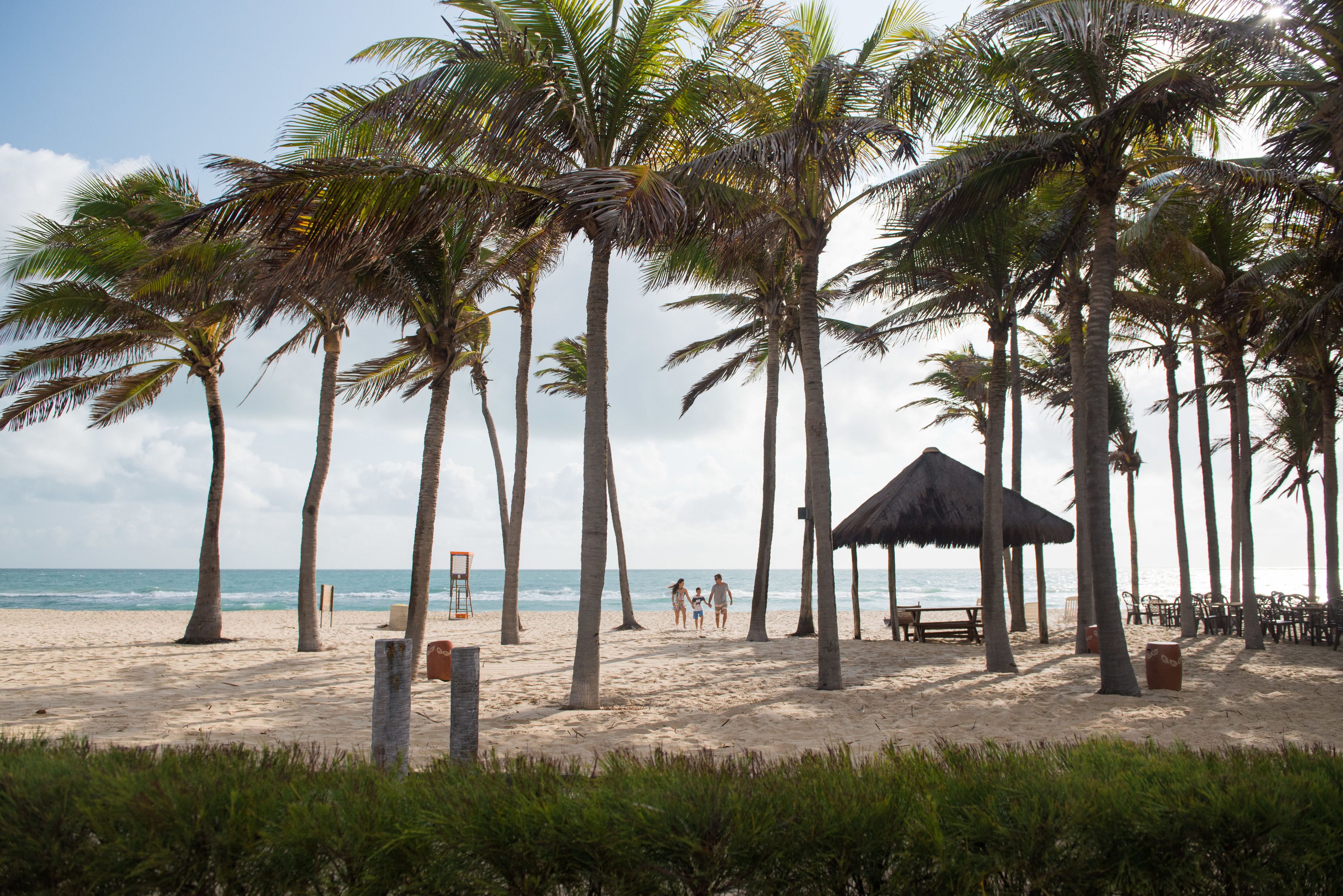 Een strand met palmbomen, een constructie met rieten dak en een bankje.