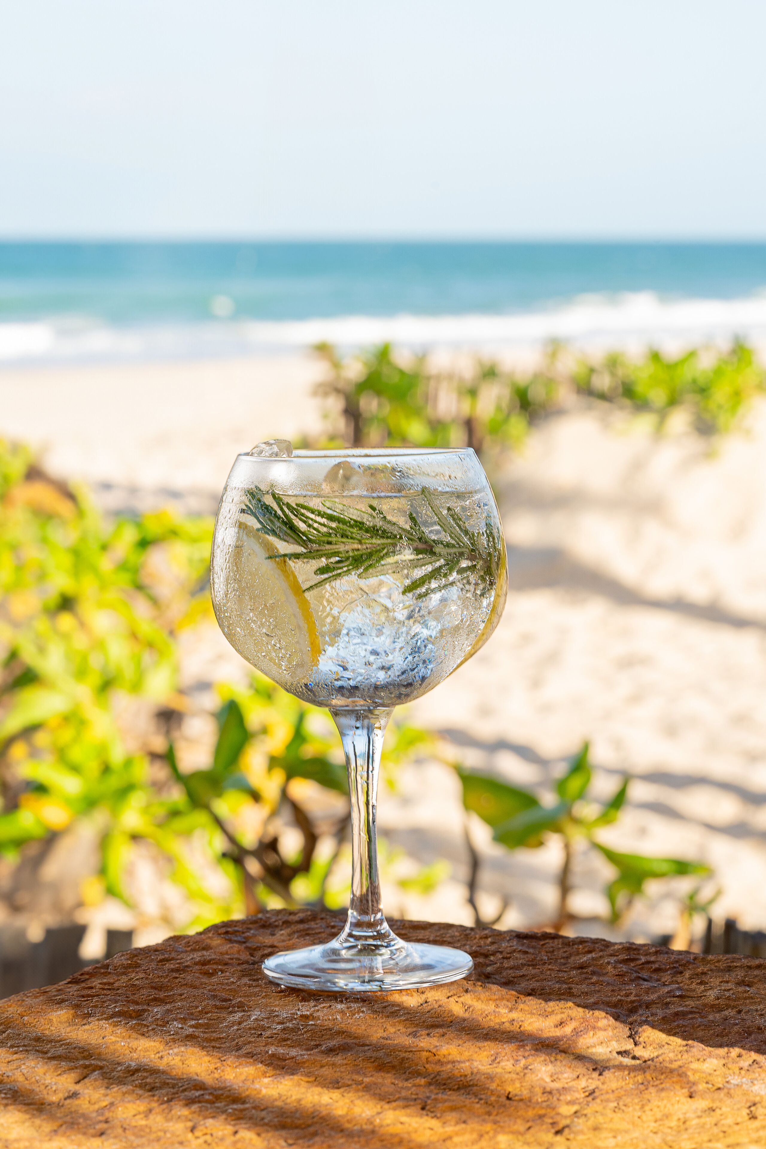 A glass with a plant on a wooden surface by the beach.