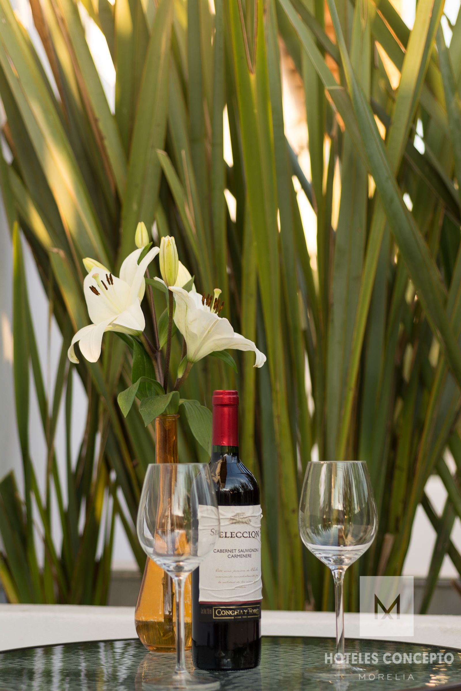 Foto - M Hoteles Concepto