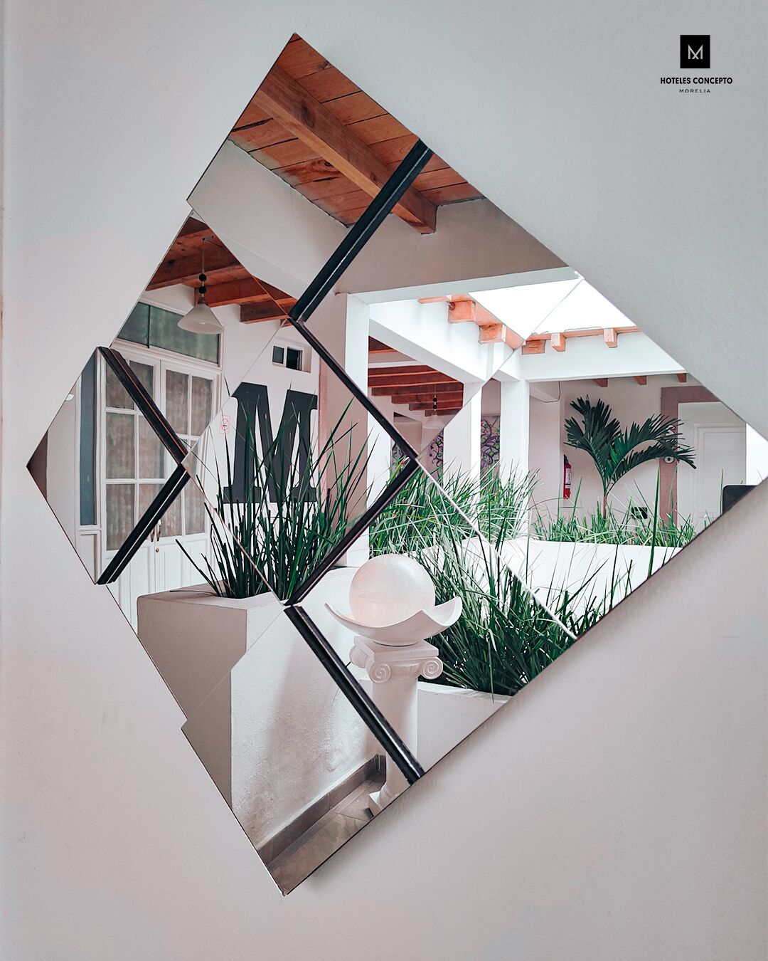 Foto - M Hoteles Concepto