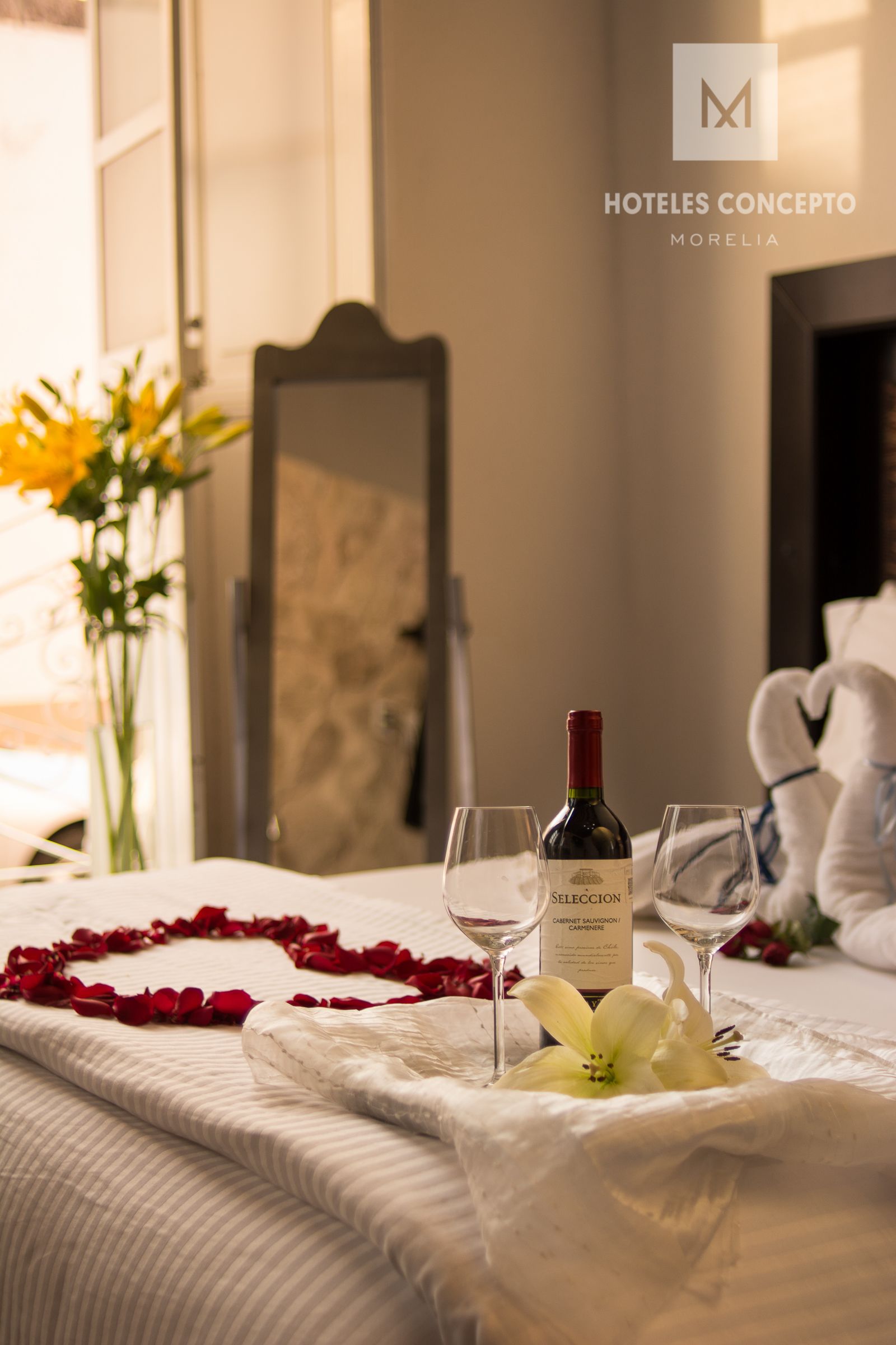 Foto - M Hoteles Concepto