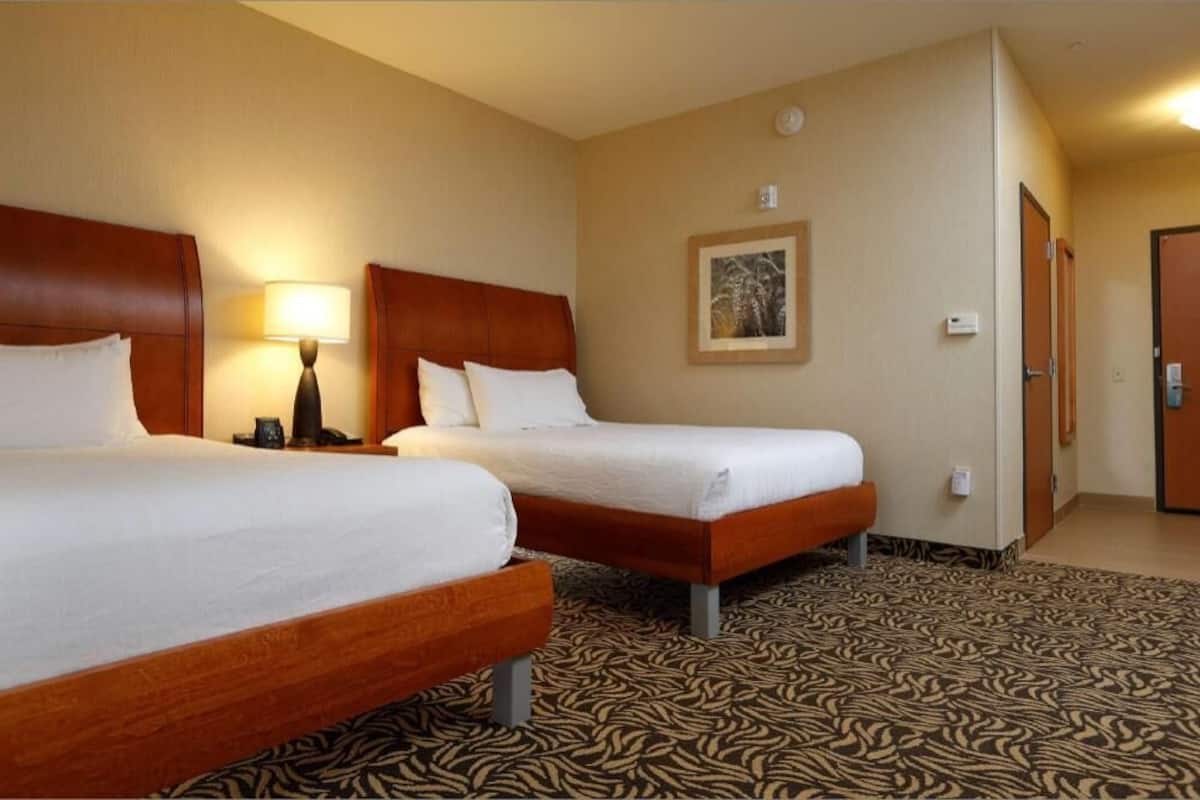 A hotel room with two beds, a patterned carpet, a framed picture on the wall, and a door.
