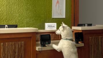 Un comptoir d’accueil avec une enseigne indiquant « Hilton Honors » et un kiosque numérique.